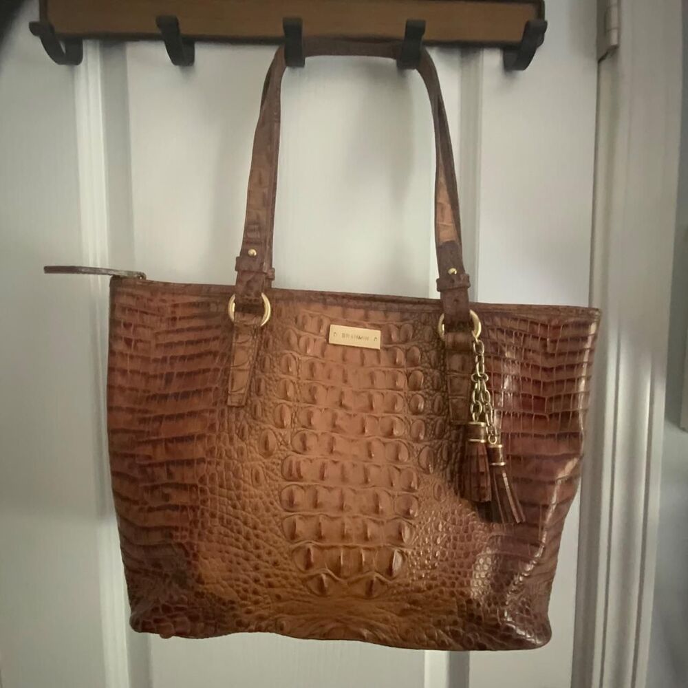 Brahmin Women's Brown Bag